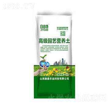 �߼��@ˇ�I�B(y��ng)��-���ɵ�-�ڵ��r(n��ng)�I(y��)