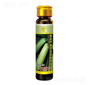 西葫蘆催綠拉長膨大劑-浩達(dá)生物