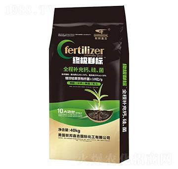 ȫ���a���}���衢��40kg-(li��n)��μ�