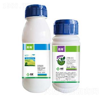 ���z-���՘�(l��)