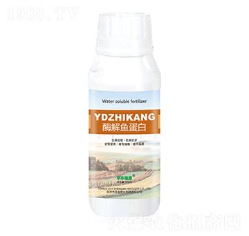 酶解魚(yú)蛋白-圣金肥業(yè)