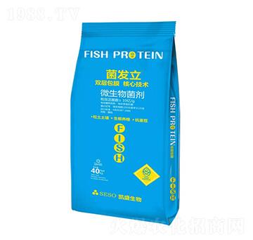 ΢�������-���l(f��)��-����������