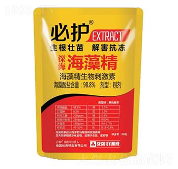 ����徫-���o-����������