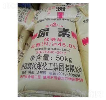 �Aɽ����-�ѷ�Ԫ