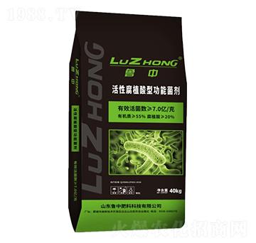 ���Ը�ֲ���͹��ܾ���-�r(n��ng)�����B(t��i)