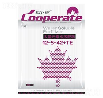 ����Ԫ��ˮ�ܷ���12-5-42+TE-�²��J-��ꖻ���