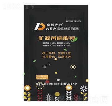 �VԴ�S�����-�µ�����