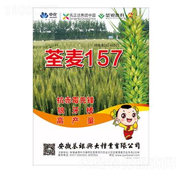 С���N��-����157-���y�d��