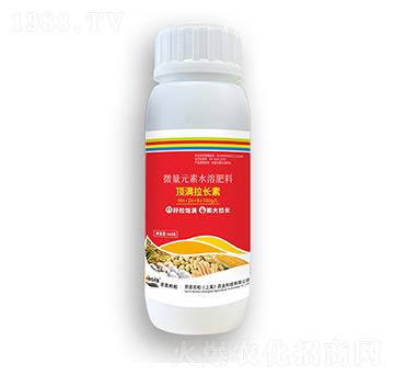 픝M(m��n)���L(zh��ng)��-�ڶ����