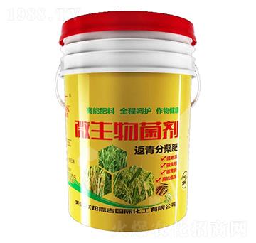 微生物菌劑-返青分蘗肥-聯(lián)邦嘉吉