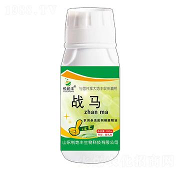 �r(n��ng)�Ú��x(ch��ng)�������X����-��(zh��n)�R-�����S