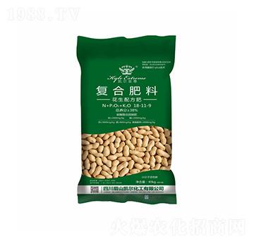 �����䷽��(f��)�Ϸ���18-11-19-�P���ѷʘI(y��)