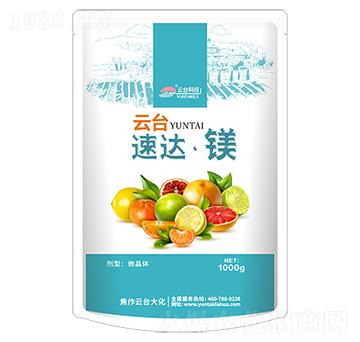 ���_(d��)���V-���_��