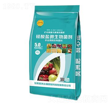 硅酸鹽微生物菌劑-昊洲土壤修復