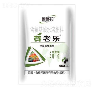 含氨基酸水溶肥料-芽老樂-魯?shù)掳? />
                                </div>
                            </div>
                            
                            <style type=