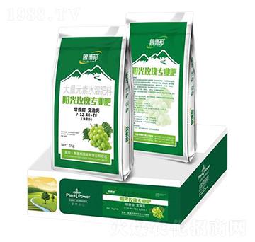 陽光玫瑰專用大量元素水溶肥肥料7-12-40+TE-魯?shù)掳? />
                                </div>
                            </div>
                            
                            <style type=