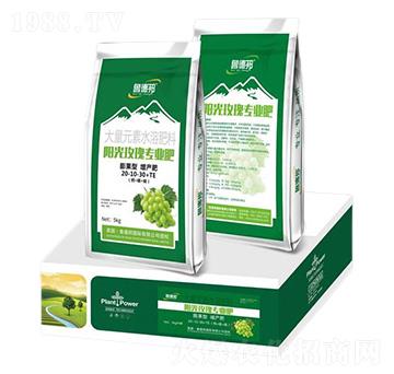 陽(yáng)光玫瑰專用膨果型大量元素水溶肥料20-10-30+TE-魯?shù)掳? />
                                </div>
                            </div>
                            
                            <style type=