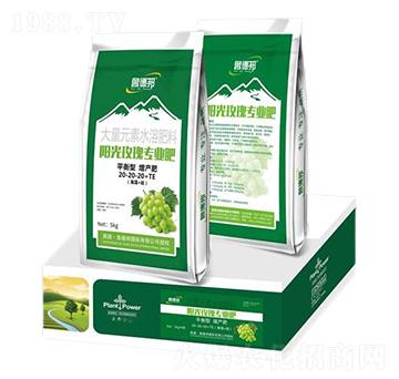 陽(yáng)光玫瑰專(zhuān)用平衡型大量元素水溶肥料20-20-20+TE-魯?shù)掳? />
                                </div>
                            </div>
                            
                            <style type=