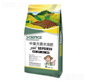 中量元素水溶肥料-硅鈣鎂鋅-魯?shù)掳? />
                                </div>
                            </div>
                            
                            <style type=