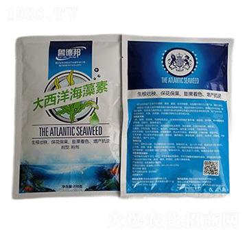 大西洋海藻素-魯?shù)掳? />
                                </div>
                            </div>
                            
                            <style type=