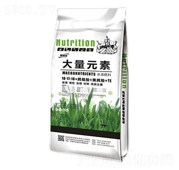 大量元素水溶肥18-17-18-魯?shù)掳? />
                                </div>
                            </div>
                            
                            <style type=