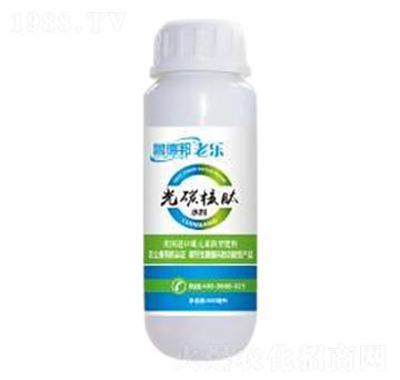 光碳核肽-魯?shù)掳? />
                                </div>
                            </div>
                            
                            <style type=