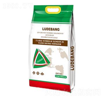 大量元素水溶肥料20-20-20-魯?shù)掳? />
                                </div>
                            </div>
                            
                            <style type=