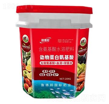 ���ﵰ�װ�����-��?sh��)°? />
                                </div>
                            </div>
                            
                            <style type=