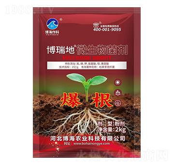 微生物菌劑(爆根)-博瑞地-博海作科
