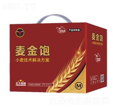 小麥增產(chǎn)技術(shù)解決方案-麥金飽-公牛國際