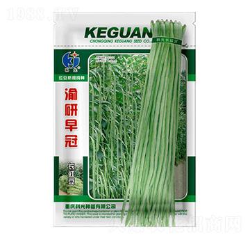 �������-�ƹ�N��