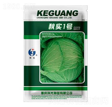 �1̖-�ƹ�N��