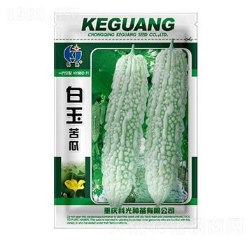 ������-�ƹ�N��