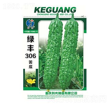 �G�S306-�ƹ�N��