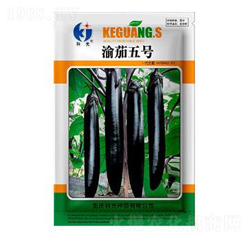 ����5̖(h��o)-�ƹ�N��