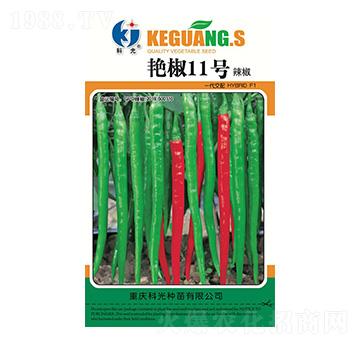 �G��11̖(h��o)-�ƹ�N��