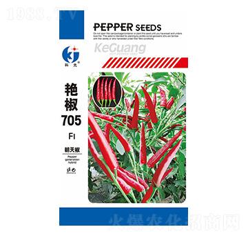 �G��705-�ƹ�N��