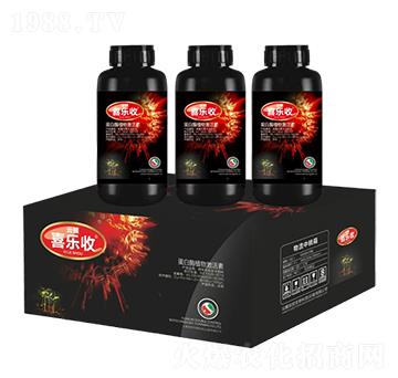 ����øֲ�Ｄ����-�t̫�