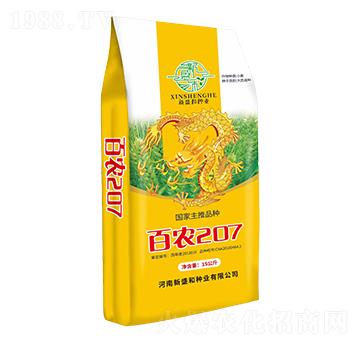 百農(nóng)207-小麥種子-紅太陽(yáng)