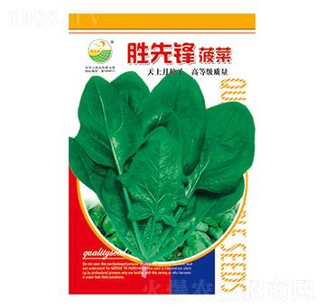 ���˷N��-�����h-̫���N�I(y��)