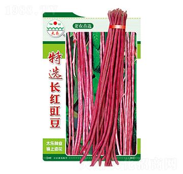 �����N��-���x�L�t����-̫���N�I(y��)