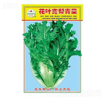 ��˷N��-���~�������-̫��(l��)�N�I(y��)