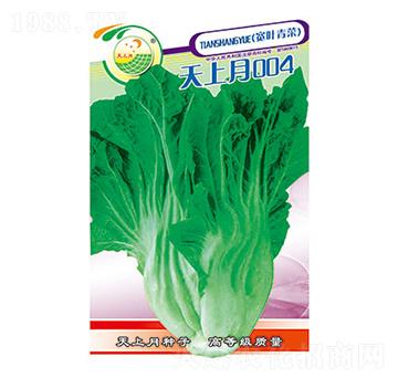 ��˷N��-������004-̫��(l��)�N�I(y��)