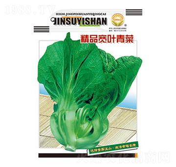 ��˷N��-��Ʒ���~���-̫��(l��)�N�I(y��)