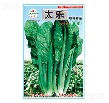 ��˷N��-�ۗU���-̫��(l��)�N�I(y��)