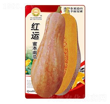 �ϹϷN��-�t�\(y��n)�۱��Ϲ�-̫��(l��)�N�I(y��)