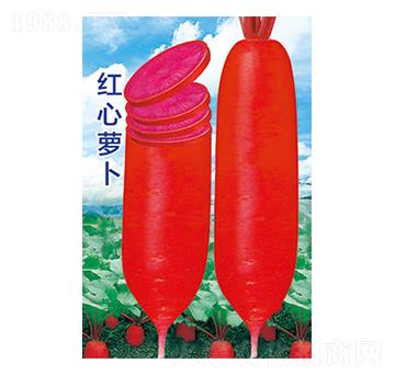 �}���N��-�t���}��-̫��(l��)�N�I(y��)