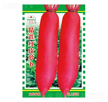 �}���N��-���x�tƤ�}��-̫��(l��)�N�I(y��)