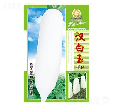 �}���N��-�h����-̫���N�I(y��)