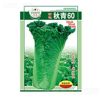 �ײ˷N��-����60-̫���N�I(y��)